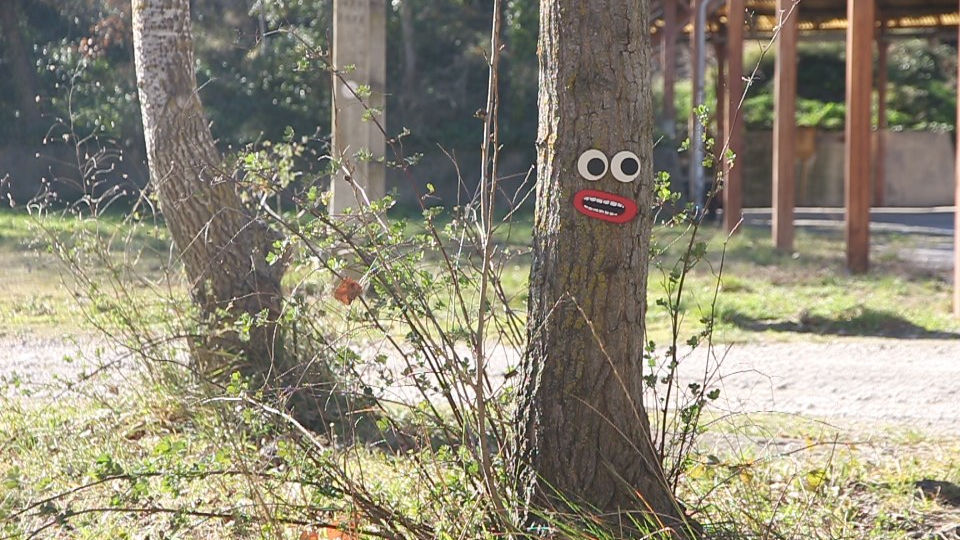 La forêt interdite